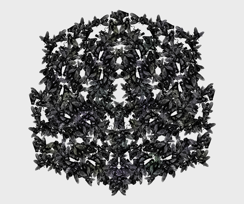 karin sunvisson: new work / interview