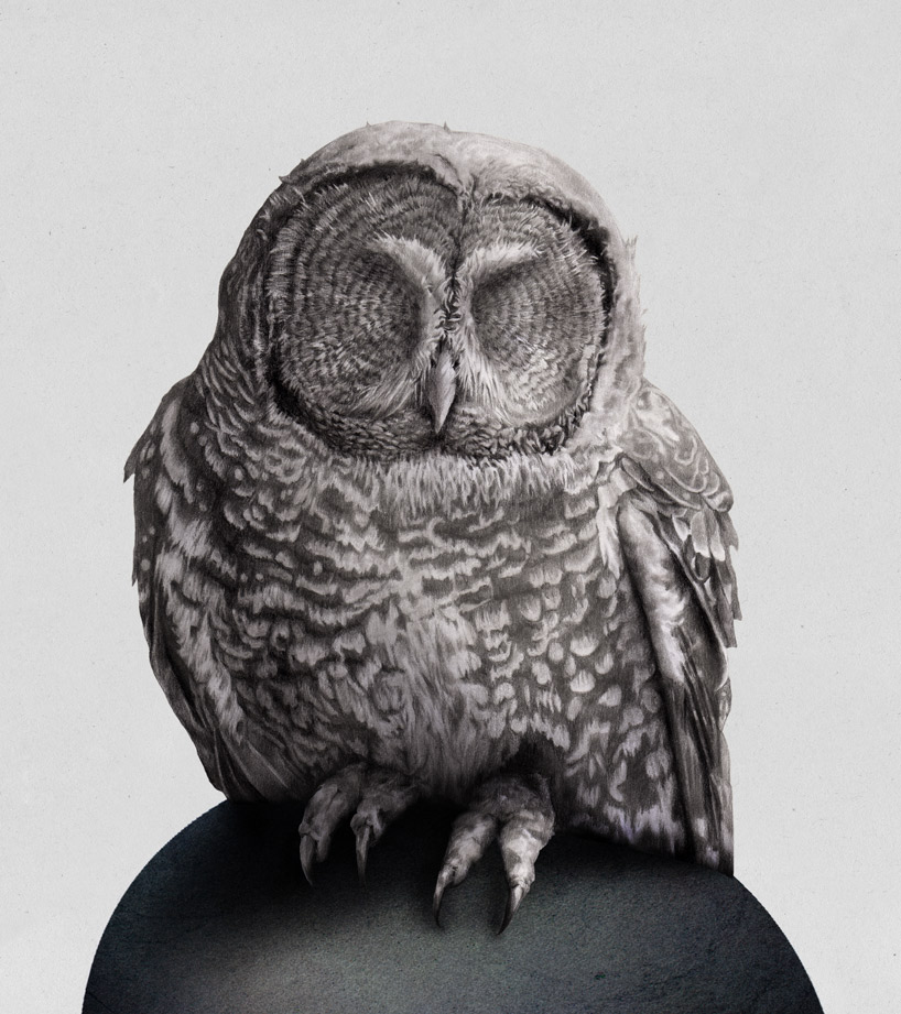 karin sunvisson: new work / interview