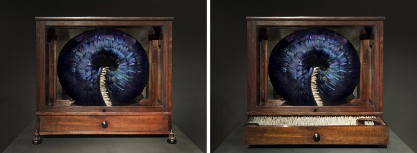 feather sculptures by kate mccgwire