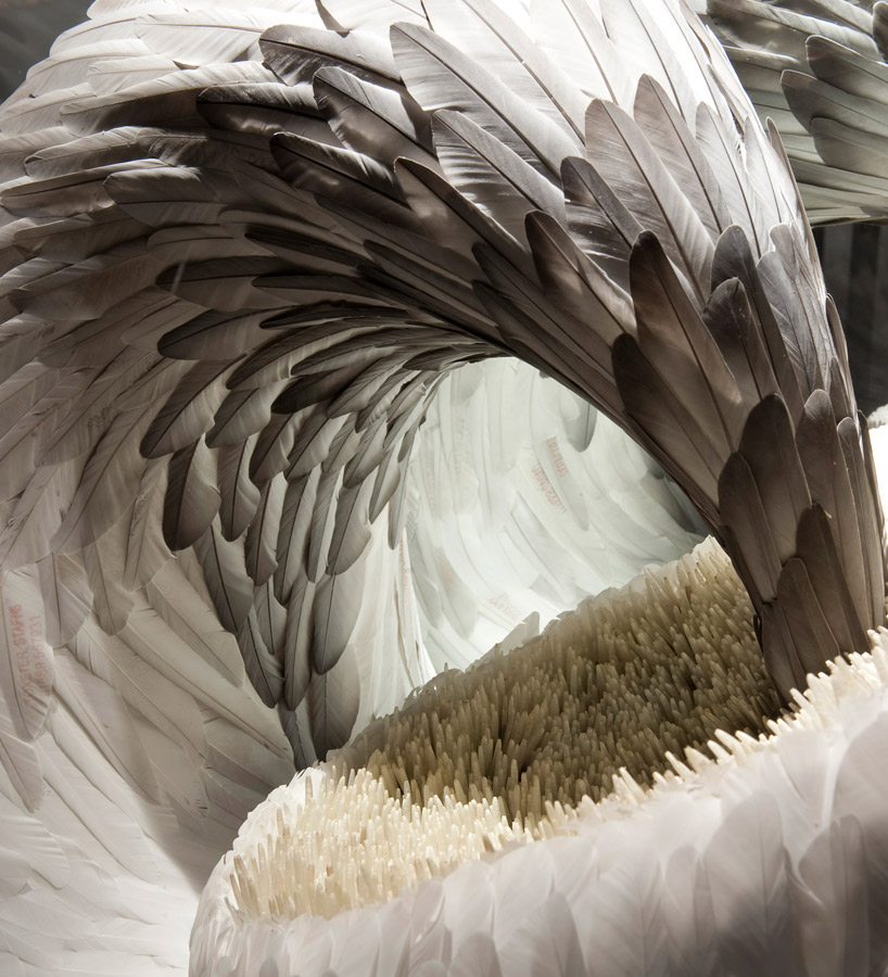 feather sculptures by kate mccgwire - 1