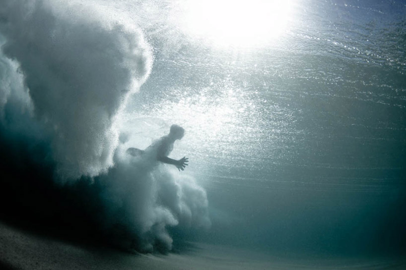 underwater photography by mark tipple - 1