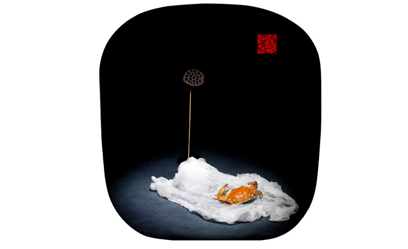 zhenjie dong: QR code photo critique of chinese censorship