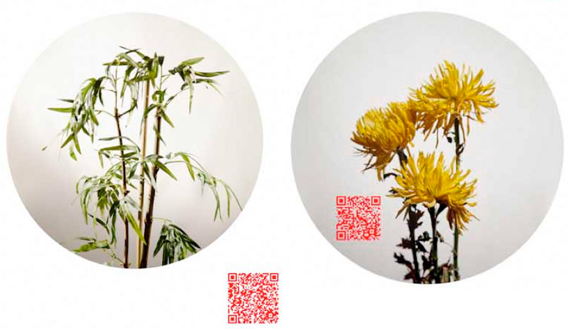 zhenjie dong: QR code photo critique of chinese censorship