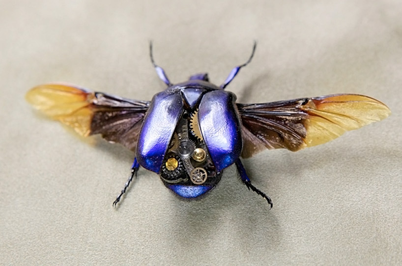 robotic steampunk insects by lindsey bessanon - 1