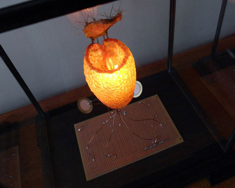 blooming senses by atelier fraser ross