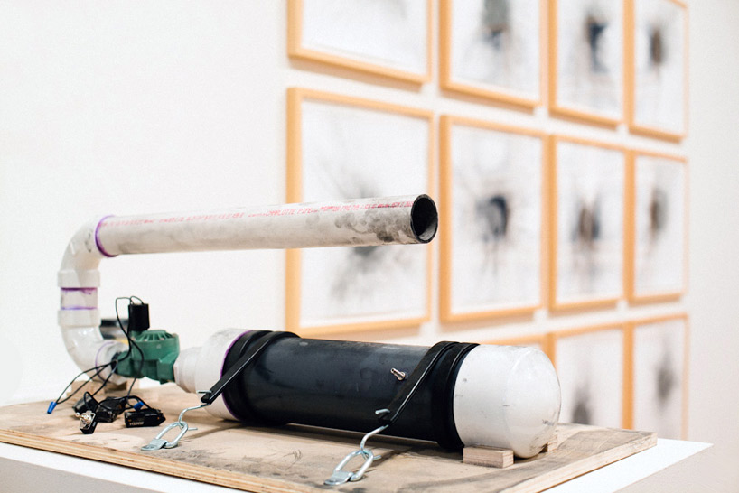 leslie a. grossman: circumstances