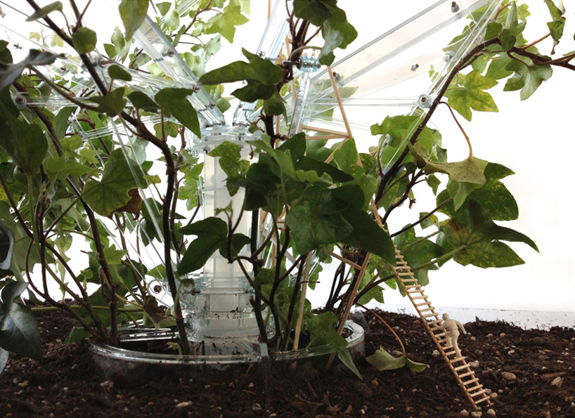 pablo zunzunegui: phytopia