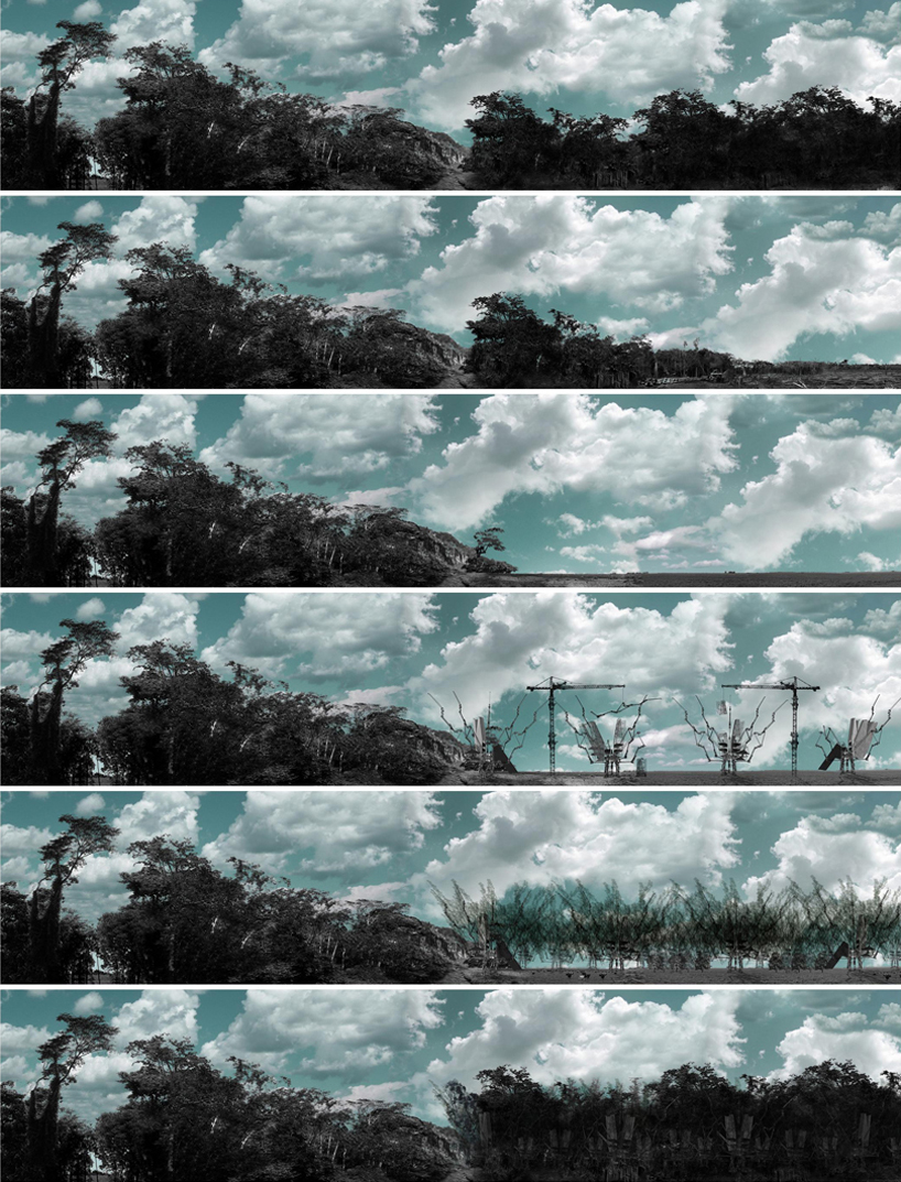 pablo zunzunegui: phytopia