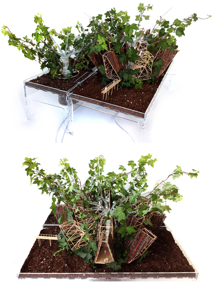 pablo zunzunegui: phytopia