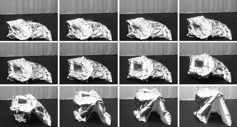 brandon cuffy, judy fulton & stacy morton: coFLEXions