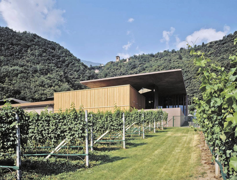 markus scherer architekt: nals margreid winery