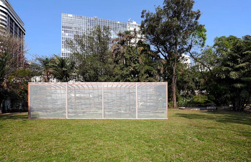 dead garden by carlos teixeira