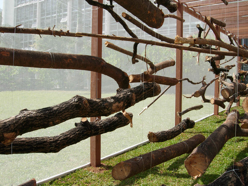 dead garden by carlos teixeira