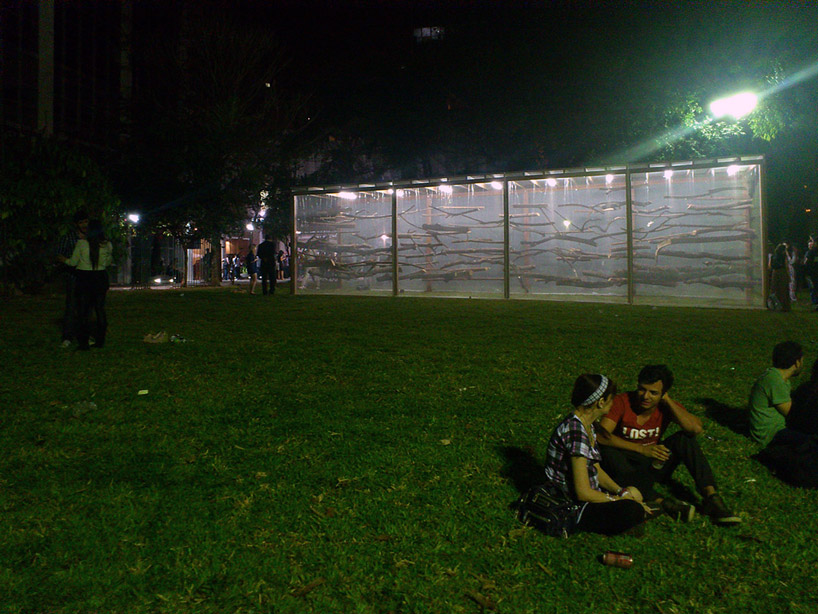 dead garden by carlos teixeira