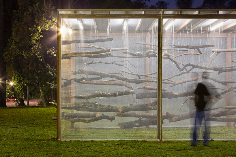 dead garden by carlos teixeira