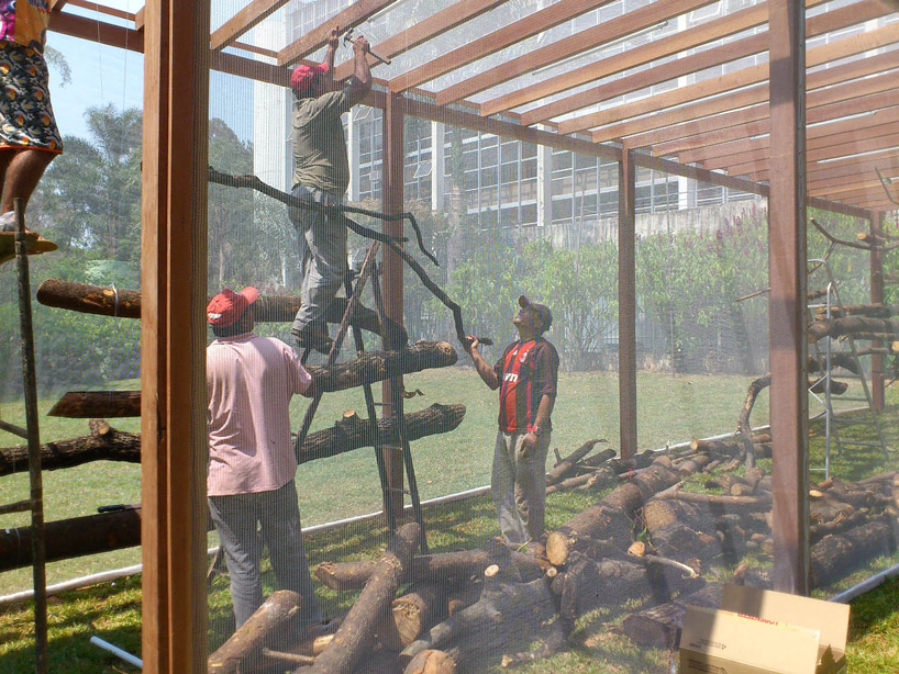 dead garden by carlos teixeira