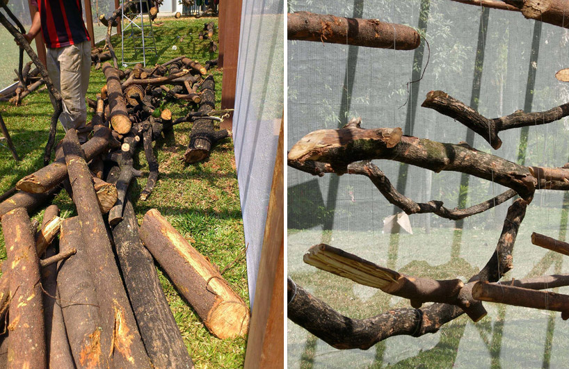 dead garden by carlos teixeira