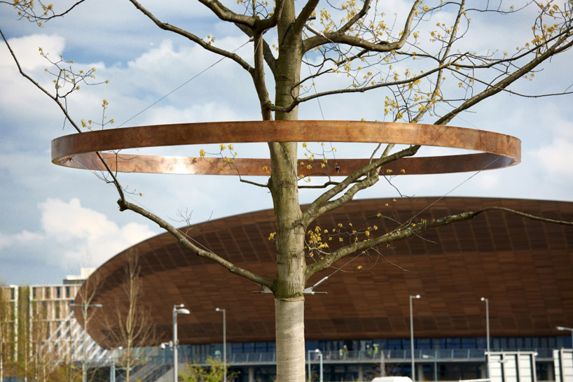 london 2012 olympic tree rings - 1