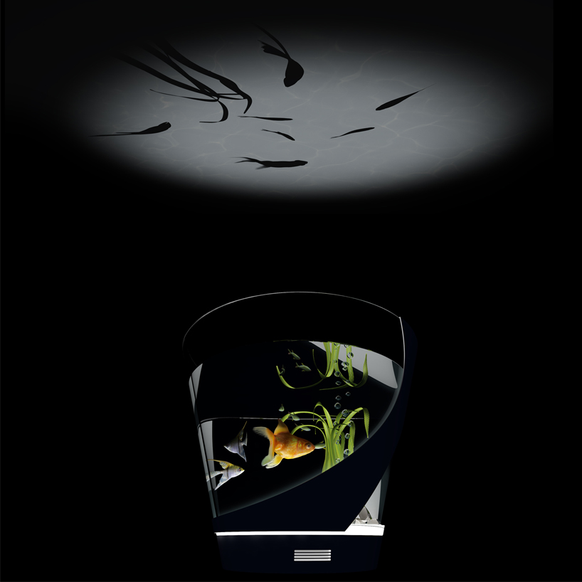 ceiling aquarium