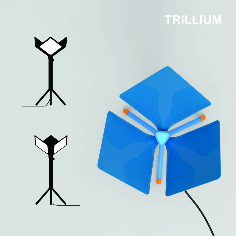 trillium