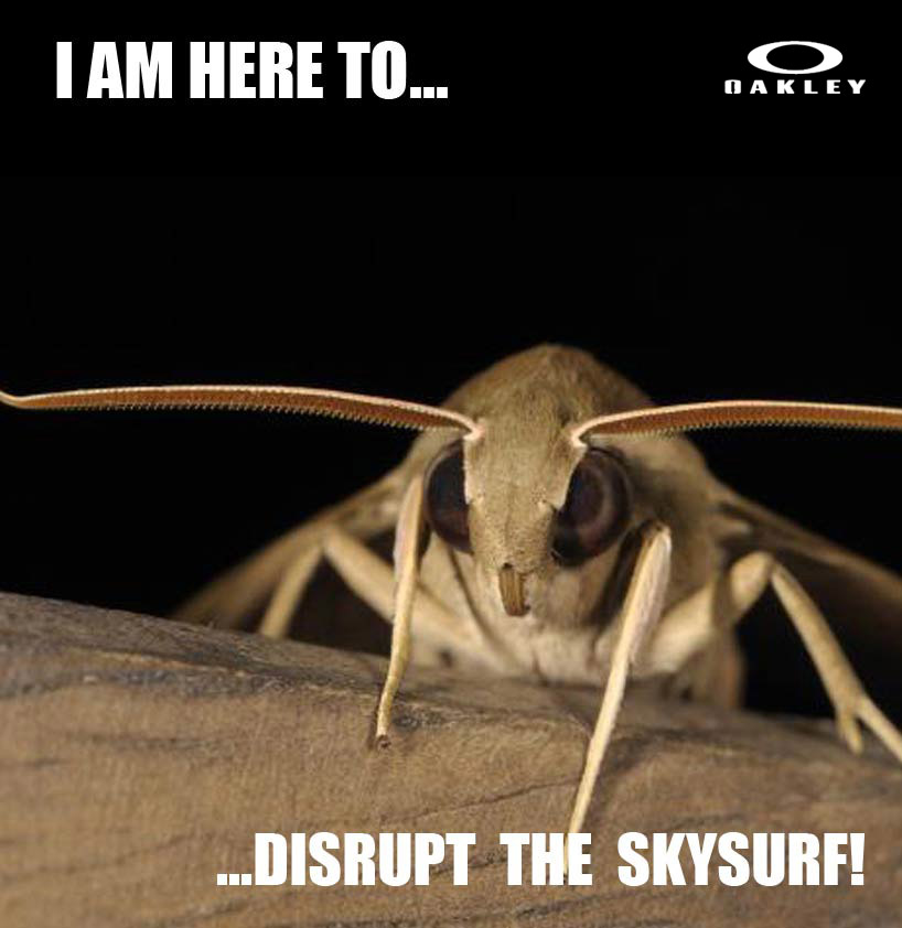 THE OAKLEY SKYCRUISER