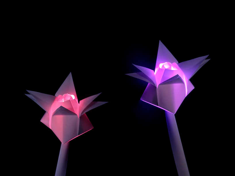 Flower Lighting
