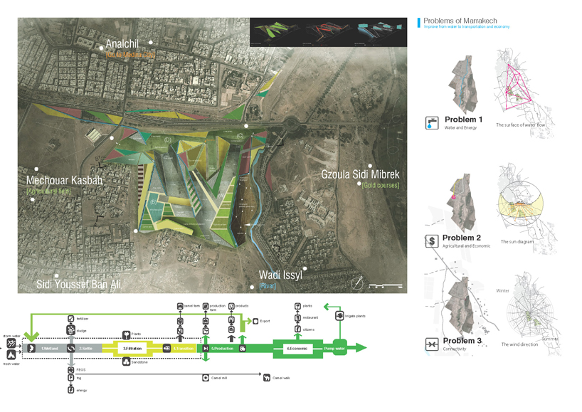 Camel Grazing Station