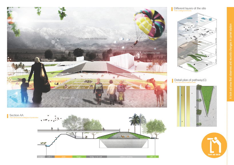 Camel Grazing Station