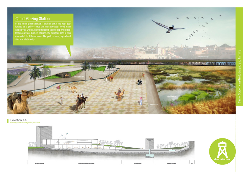 Camel Grazing Station