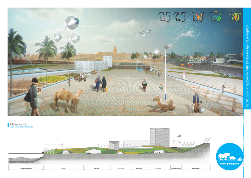 Camel Grazing Station