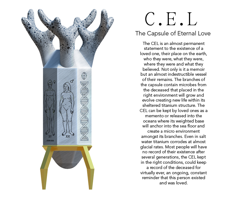 the capsule of eternal love cel