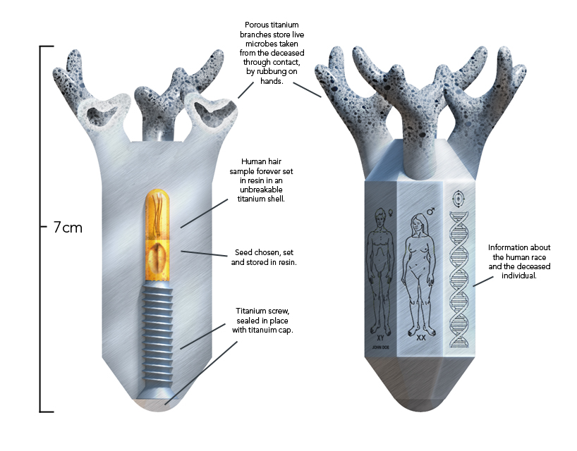 the capsule of eternal love cel