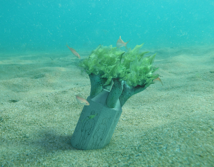 the capsule of eternal love cel