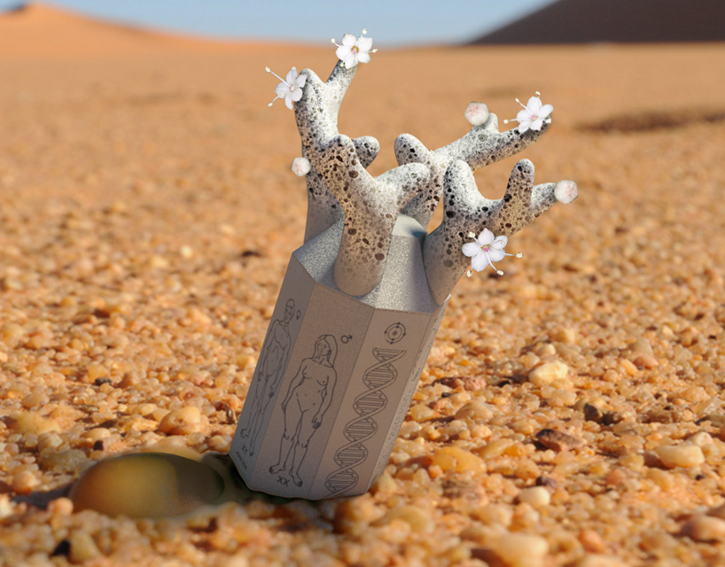 the capsule of eternal love cel