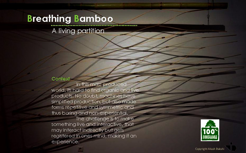 Breathing Bamboo