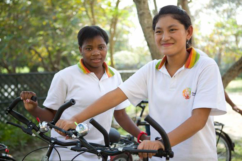 oaktree international school visual identity and marketing collateral design