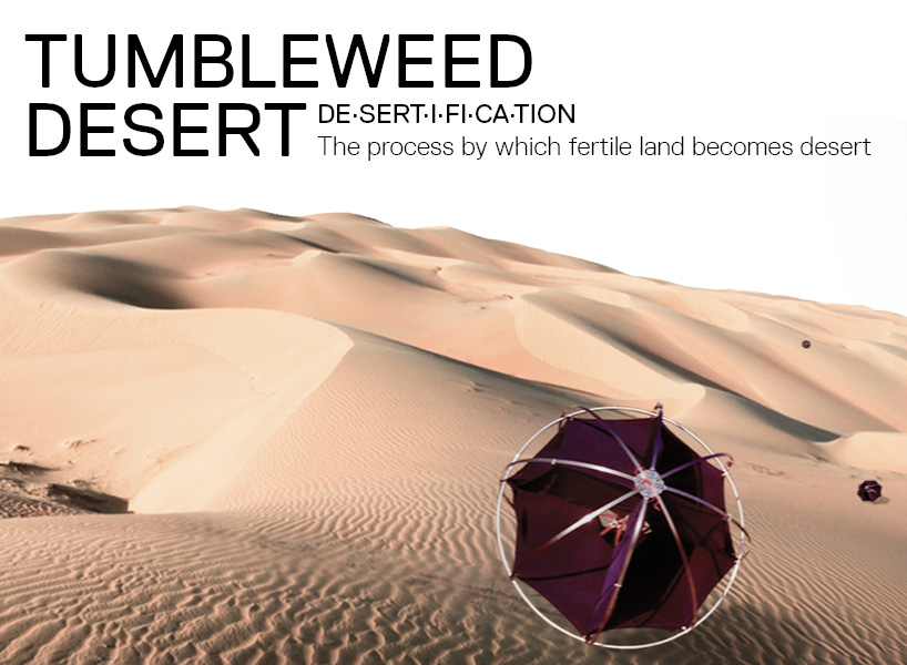 tumbleweed desert