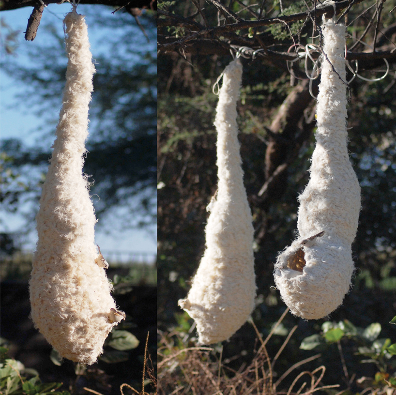 weaver bird nest lamp