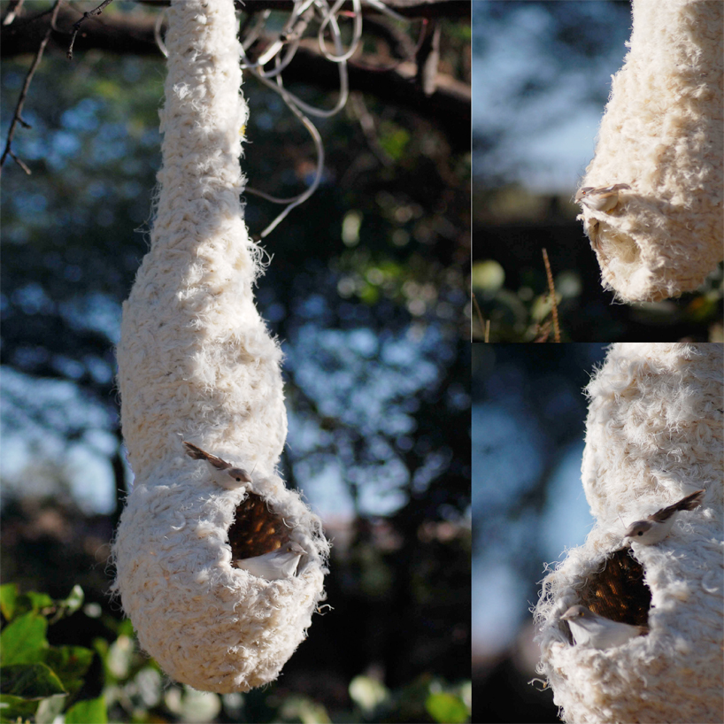 weaver bird nest lamp