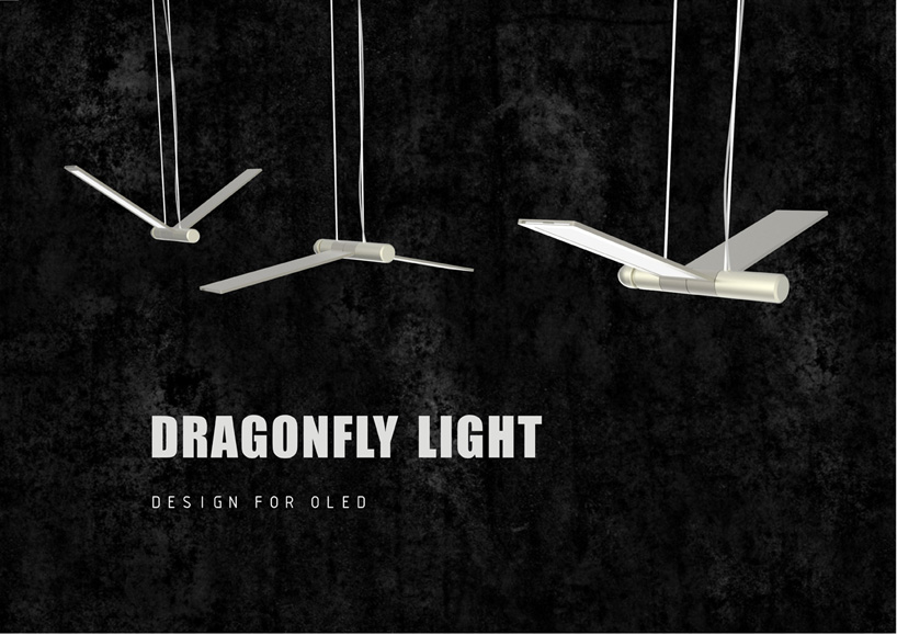 dragonfly light