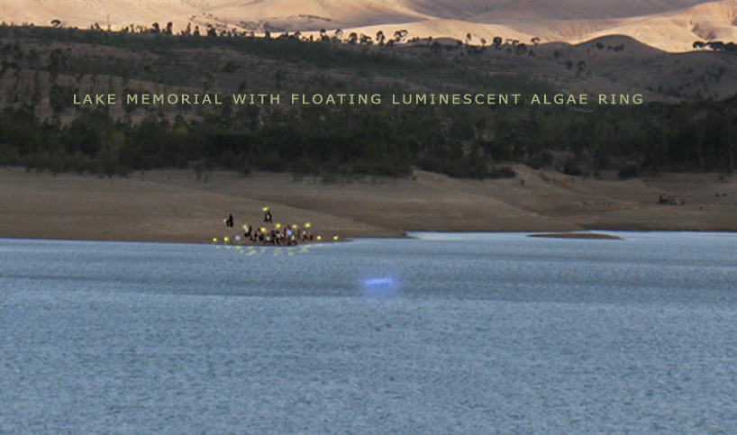 oxygen supplying algae funeral