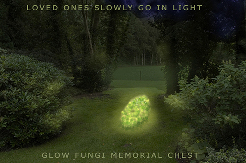 oxygen supplying algae funeral