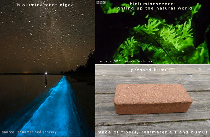 oxygen supplying algae funeral