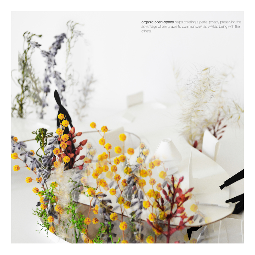 organic open-space : the visual boundary created by the nature