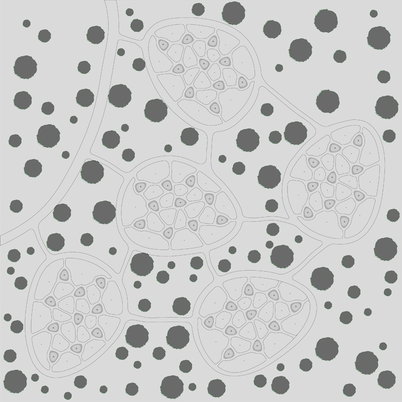 The light of memories