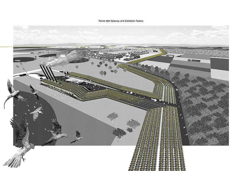 The Invisible City_Festival of Smell