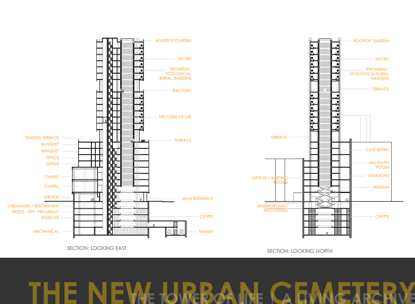 The Tower of Life | A Living Archive