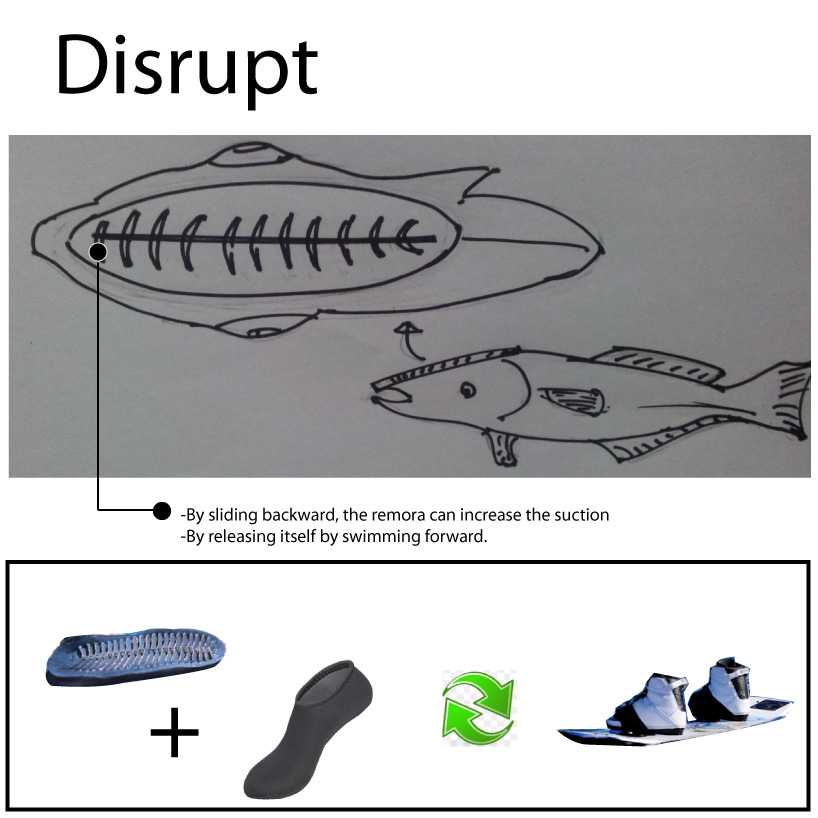 Remora Socks for wakeboard