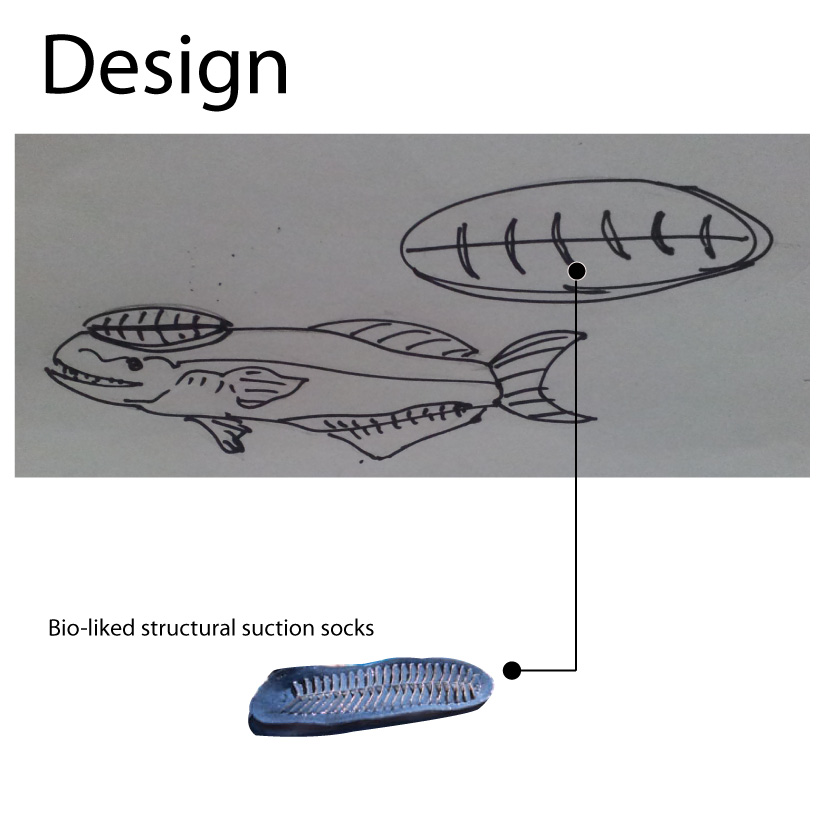 Remora Socks for wakeboard