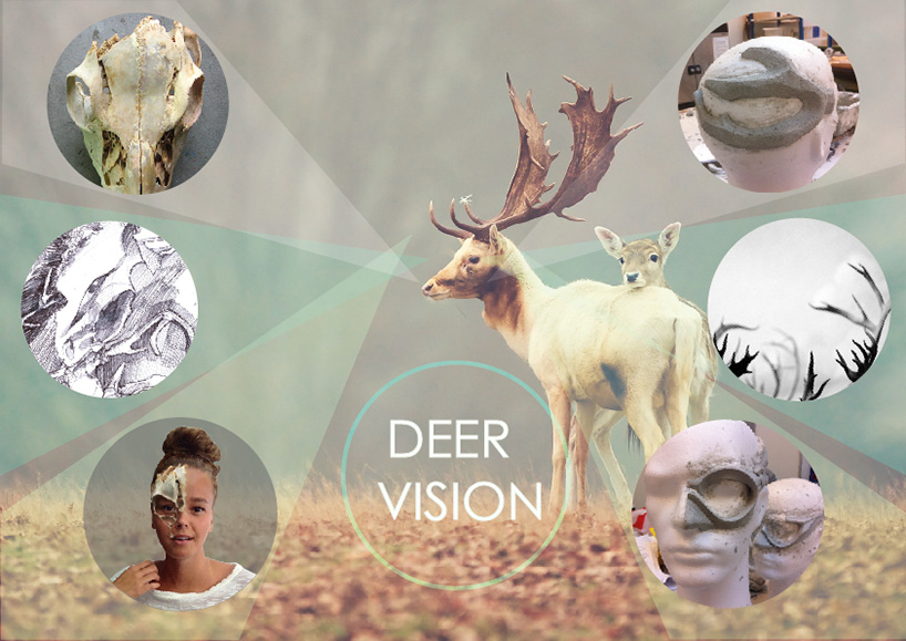 Deer Vision